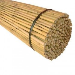 Καλάμια Bamboo Στήριξης φυτών Bamboo Πάχους 22-26 mm Ύψος 200 cm 50 τεμάχια