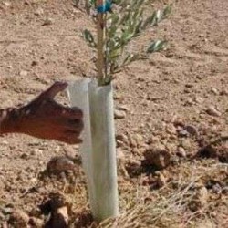 Προστατευτικό για Μικρούς Κορμούς - Αμπελιών 40/10 Agrotube