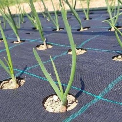 Εδαφοκάλυψη 100 γραμμαρίων Γεωύφασμα