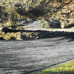 Ελαιόδιχτο σε Ρολό 4μΧ50μ Πράσινο 100γρ Φανουράκης Κρήτης