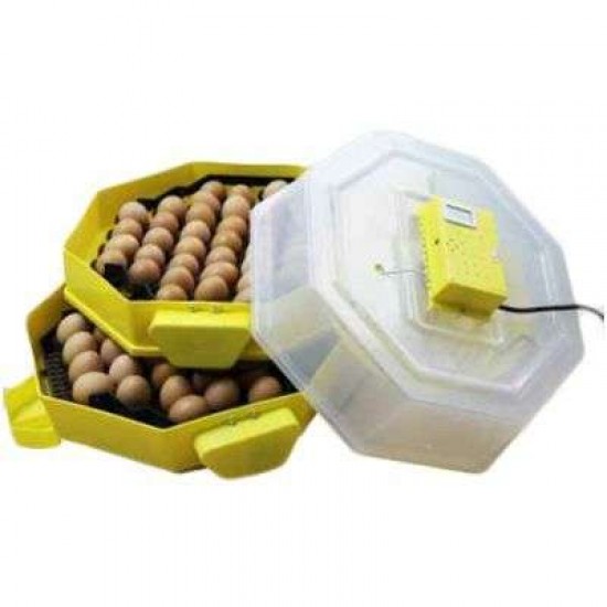 Κλωσσομηχανή Αυτόματη 82 Αυγών Cleo με Θερμόμετρο, Υγρασιόμετρο, Εξωτερικό δοχείο Νερού