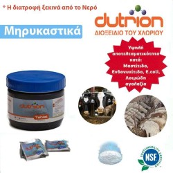 Διοξειδίου του Χλωρίου Dutrion 20γρ Στην Εκτροφή Αγελάδων & Αιγοπροβάτων