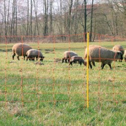 Ερωτηματολόγιο για Υπολογισμό Κόστους Ηλεκτρικής Περίφραξης