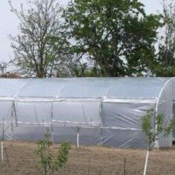 Θερμοκήπιο Κήπου GM50 Πλάτος 5 μ Μήκος 6 έως 12 μ 1 πόρτα 2 παράθυρα με Νάιλον 4ετές