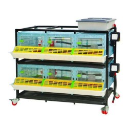 Αναθρεπτήριο Ύψος  Ορόφoυ 25 cm Για 95-100 Κοτοπουλάκια 