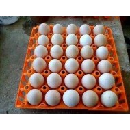 Πλαστικές Αυγοθήκες 30 Αυγών σε Χρώμα Πορτοκαλί, Μπλέ, Μώβ, Φούξια, Άσπρο