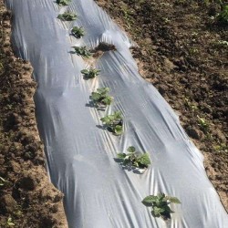 Φίλμ Εδαφοκάλυψης Μαύρο - Ασημί Δροσισμού 15 μm 