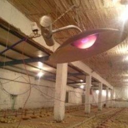 Θερμομητέρα SPH27 8KW για 1500-2000 κοτοπουλάκια Ακριβείας