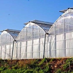 Θερμοκήπιο Γοτθικού Τύπου Πλάτους 15 μέτρων