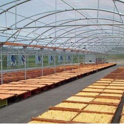 Θερμοκήπιο Τοξωτό Πλάτους 14 μέτρων