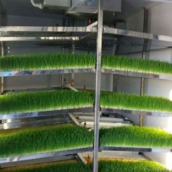 Θάλαμος Υδροπονίας Ζωοτροφών Φρέσκου Φύτρου BS-250 (250 κιλά/ημέρα) με Καρότσια