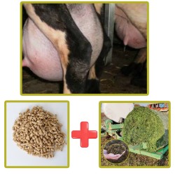 Καινοτόμο ΜΙΓΜΑ ΓΑΛΑΚΤΟΠΑΡΑΓΩΓΗΣ σε Pellets  ΠΡΟΒΑΤΩΝ & ΑΙΓΩΝ Σ121, Ολικές Αζωτούχες 16,5 % ,με ΤΡΥΦΥΛΛΙ !!!