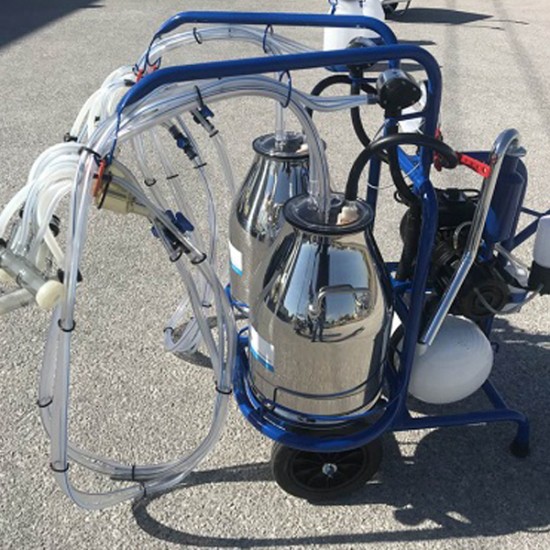 Φορητό Αρμκεκτικό Σύστημα για 4 Αιγοπρόβατα με 2 Ανοξείδωτους Κάδους 30 Λίτρων με Ιταλικό Πνευματικό Παλμοδότη