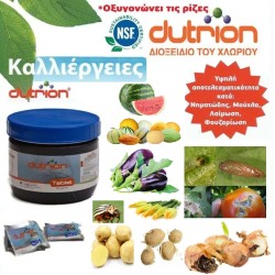 Dutrion Διοξειδίου του Χλωρίου, Ψεκασμός και Πότισμα για Αντιμετώπιση ΠΡΟΣΒΟΛΩΝ από ΕΝΤΟΜΑ και ΡΙΖΑ Νηματώδη, Τούτας, κλπ, Ταμπλέτα  20 gr Min 10 ταμπλέτες