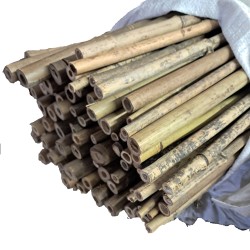 Καλάμια Bamboo Στήριξης Φυτών Δένδρων Πάχους 16-20 mm Ύψος 250 cm 100 τεμάχια