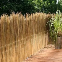 Καλαμωτή με Ακρόκλαδα FERN Πράσινο 1,2μΧ3μ με Σύρμα Γαλβανιζέ