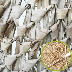 Κάλυμμα Ομπρέλας από Φοινικόφυλλο Ασιατικού Φοίνικα Πλεκτό Στρογγυλό Φ200