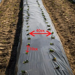 Φύλλο Εδαφοκάλυψης 40gr Μαύρο με Έτοιμες Τρύπες AΝΑ 10εκ τρυπα-τρυπα, με Διάμετρο Τρύπας 5εκ 1.4m X 600m Φύλλο Εδαφοκάλυψης 40gr Μαύρο με Έτοιμες Τρύπες AΝΑ 10εκ τρυπα-τρυπα, με Διάμετρο Τρύπας 5εκ 1.4m X 600m