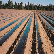 Φίλμ Εδαφοκάλυψης Μαύρο 15μm 1μΧ1000μ