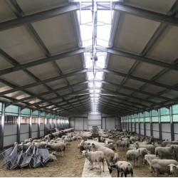 ΠΡΟΒΑΤΟΣΤΑΣΙΟ ΘΕΡΜΟΚΗΠΙΑΚΟΥ ΤΥΠΟΥ (ΑΜΦΙΚΛΙΝΕΣ) 12X20m ΜΕ ΑΠΑΛΛΑΓΗ ΟΙΚΟΔΟΜΙΚΗΣ ΑΔΕΙΑΣ με Σκελετό IPE (ήτα) Συμπεριλαμβάνεται Εγκατάσταση