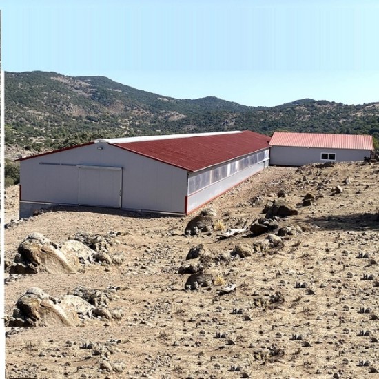 ΠΡΟΒΑΤΟΣΤΑΣΙΟ ΘΕΡΜΟΚΗΠΙΑΚΟΥ ΤΥΠΟΥ (ΑΜΦΙΚΛΙΝΕΣ) 12X20m ΜΕ ΑΠΑΛΛΑΓΗ ΟΙΚΟΔΟΜΙΚΗΣ ΑΔΕΙΑΣ με Σκελετό IPE (ήτα) Συμπεριλαμβάνεται Εγκατάσταση