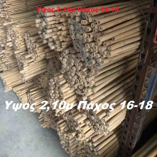 Καλάμια Bamboo Στήριξης Φυτών Δενδρων Bamboo Πάχους 16-18 mm Ύψος 210 cm 100 τεμάχια