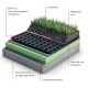 Αποστραγγιστική Μεμβράνη Διάτρητη BioDrain Roof PM S-20 2x20m Βάρος 1000 g/m² με ενσωματωμένο Γεωύφασμα για Πράσινο Φυτεμένο Δώματα