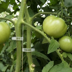 Πλαστικά Κλιπ Ντομάτας Πιπεριας Φ23 Clips Τομάτας 10.000 τεμάχια