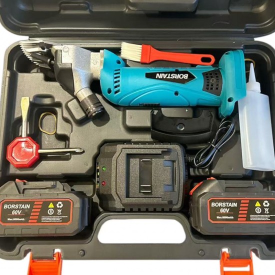 Κουρευτική Μηχανή Προβάτων Μπαταρίας BORSTAIN Easy Cut 60V με 6 Ρυθμιζόμενες Ταχύτητες και 2 Μπαταρίες 8.0Ah