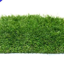 ΓΚΑΖΟΝ FIDJI 40mm 4M NewPlan