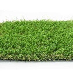 ΓΚΑΖΟΝ CAMEO 38mm 4Μ NewPlan