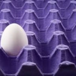 Χάρτινες Αυγοθήκες των 30 αυγών ΜΠΛΕ ΜΩΒ κάθε δέμα έχει μέσα 250 θήκες DENTAS για Μέγεθος Αυγών Large