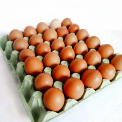 Χάρτινες Αυγοθήκες των 30 αυγών ΠΡΑΣΙΝΕΣ κάθε δέμα έχει μέσα 160 θήκες DENTAS για Μέγεθος Αυγών Large