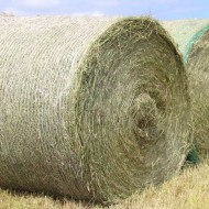 Διχτυ Χορτοδεσιας SPIDERNET 2Km 123 ή 125