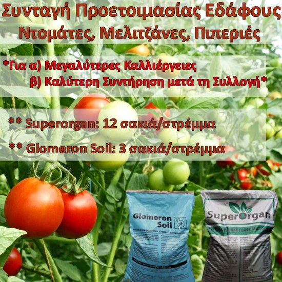 Συνταγή Προετοιμασίας Εδάφους για Ντομάτες, Μελιτζάνες, Πιπεριές