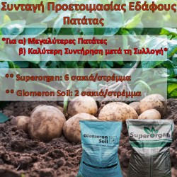 Συνταγή Προετοιμασίας Εδάφους για Πατάτες