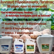 Συνταγή Υδρολίπανσης για Πατάτας 20 μέρες πριν τη Συγκομιδή