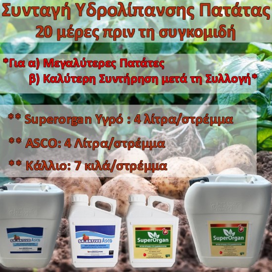 Συνταγή Υδρολίπανσης για Πατάτας 20 μέρες πριν τη Συγκομιδή