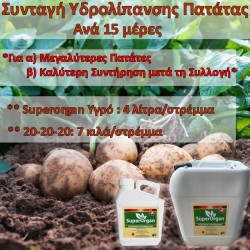 Συνταγή Υδρολίπανσης για Πατάτας ανά 15 ημέρες