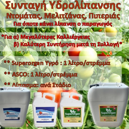 Συνταγή Υδρολίπανσης για Ντομάτες, Μελιτζάνες, Πιπεριές για όποτε κάνει Λίπανση ο Παραγωγός