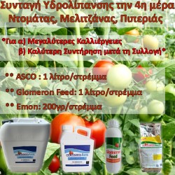 Συνταγή Υδρολίπανσης για Ντομάτες, Μελιτζάνες, Πιπεριές την 4η μέρα