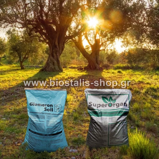 Superorgan 34 Σακιά & GlomeronSoil 10 Σακια 1 Παλέτα (44 σακιά) Superorgan 34 Σακιά & GlomeronSoil 10 Σακια 1 Παλέτα (44 σακιά)