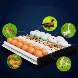 Κλωσσομηχανή Αυτόματη 60 Αυγών Εκκολαπτική με Θερμομετρο Υγρασιόμετρο Κατάλληλη για Αυγά Κότας, Πάπιας, Χήνας, Φασιανού, Ορτυκιού Κλωσσομηχανή Αυτόματη 60 Αυγών Εκκολαπτική με Θερμομετρο Υγρασιόμετρο Κατάλληλη για Αυγά Κότας, Πάπιας, Χήνας, Φασιανού, Ορτυκιού