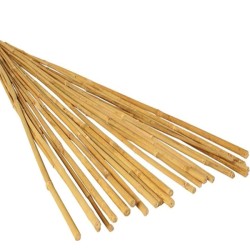 Καλάμια Bamboo Στήριξης φυτών Bamboo Πάχους 06-10 mm Ύψος 120 cm 200 τεμάχια