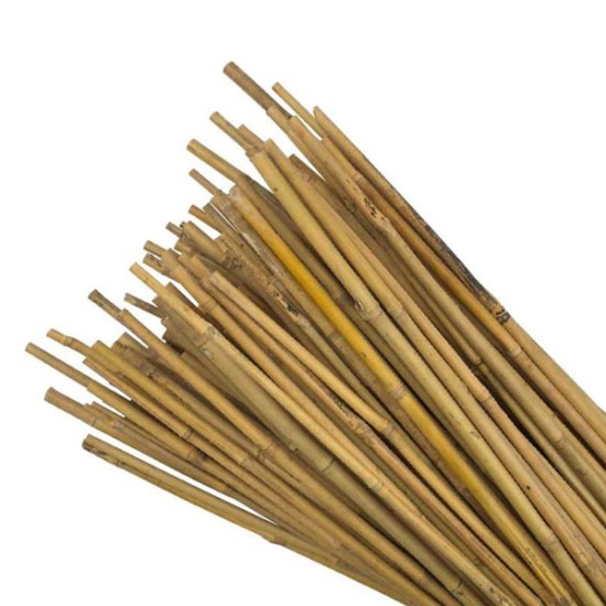 Καλάμια Bamboo Στήριξης φυτών Bamboo Πάχους 6-10 mm Ύψος 150 cm 200 τεμάχια Καλάμια Bamboo Στήριξης φυτών Bamboo Πάχους 6-10 mm Ύψος 150 cm 200 τεμάχια