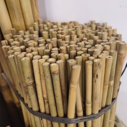 Καλάμια Bamboo Στήριξης φυτών Bamboo Πάχους 12-14  mm Ύψος 210 cm 250 τεμάχια