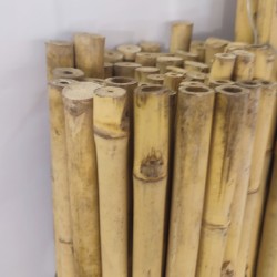 Καλάμια Bamboo Στήριξης φυτών Bamboo Πάχους 16-18 mm Ύψος 180 cm 100 τεμάχια