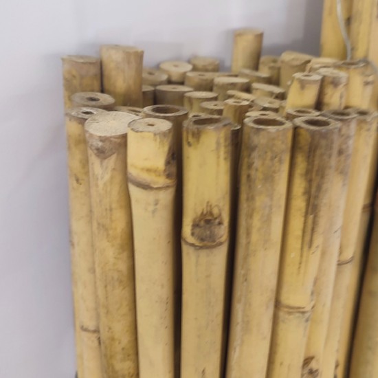 Καλάμια Bamboo Στήριξης φυτών Bamboo Πάχους 16-18 mm  Ύψος 150 cm 100 τεμάχια