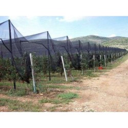 Δίχτυ Προστασίας Πουλιών Μαύρο 65gr 2,8Χ100  Δίχτυ Προστασίας Πουλιών Μαύρο 65gr 2,8Χ100