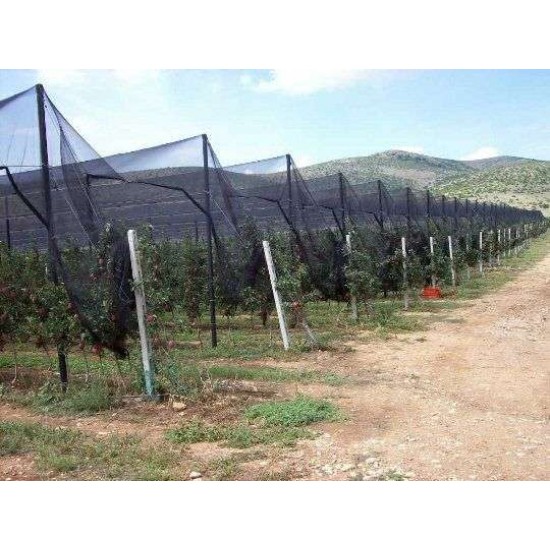 Δίχτυ Προστασίας Πουλιών Μαύρο 65gr 2,8Χ100 